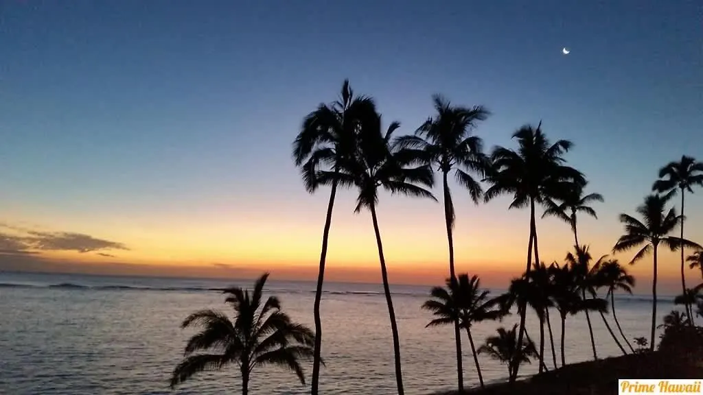 아파트 Ground Level Beachfront Studio Hau'ula