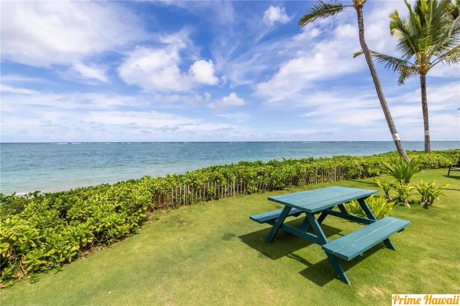 Ground Level Beachfront Studio Hau'ula 0*,  미국