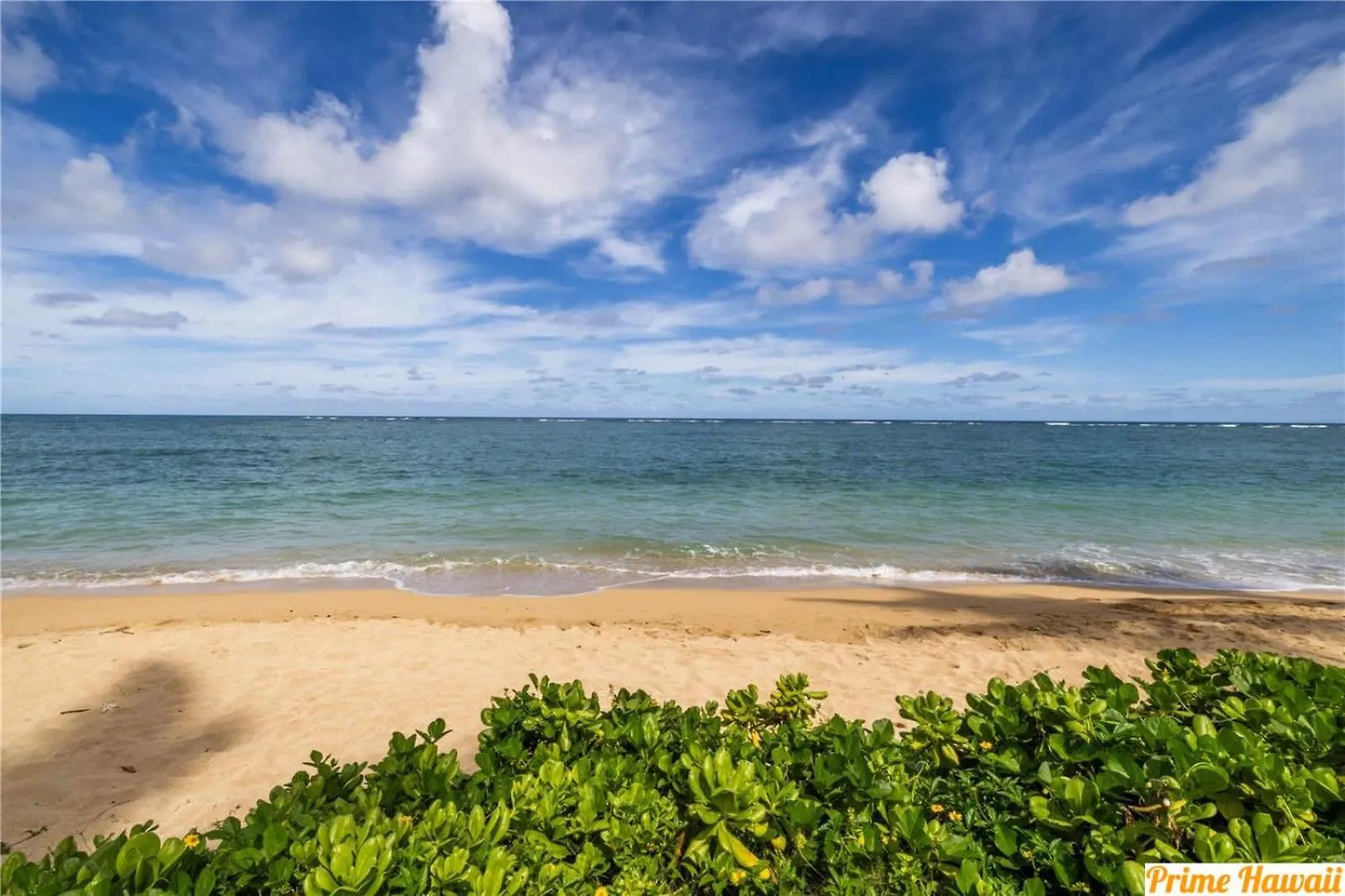 Ground Level Beachfront Studio Hau'ula 아파트